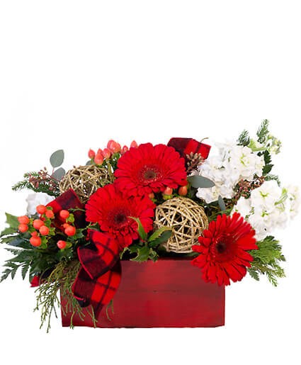Winter Flowers