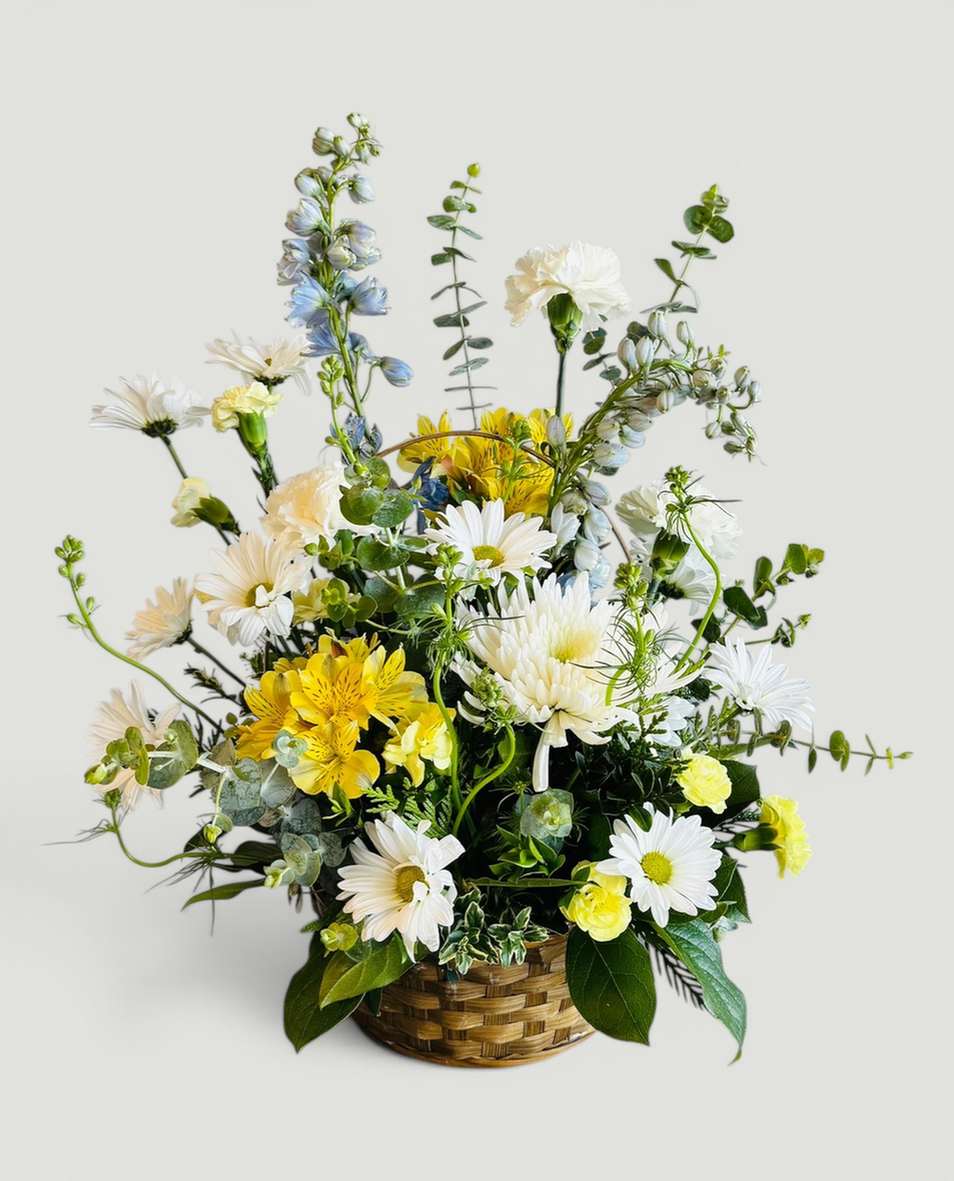 Gentle Blooms 