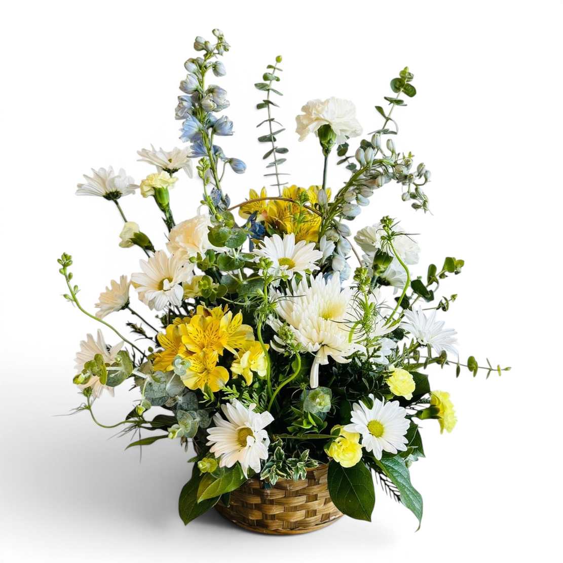 Gentle Blooms 